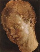 Albrecht Durer Head of a boy facing toward the left oil painting on canvas